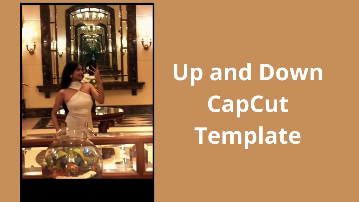 Up and Down CapCut Template